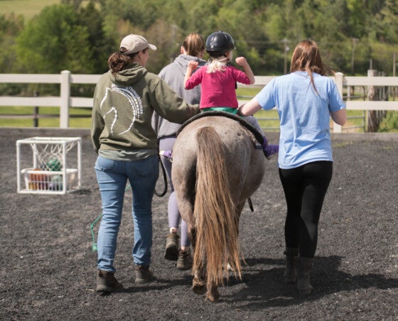 Therapeutic horse riding
